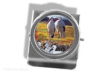 CLIP